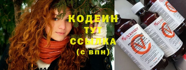 бошки Бородино